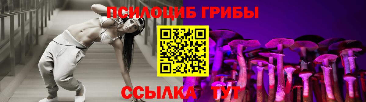 Кондопога  наркотики  Вход с VPN  Псилоцибиновые грибы Cubensis 